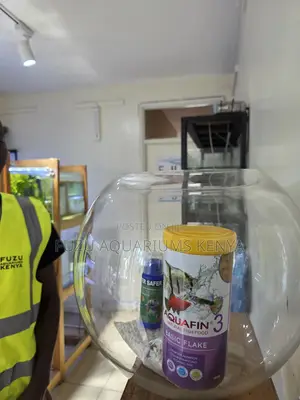 Ready-to-Use 12l Fish Bowl – Ideal Starter Setup