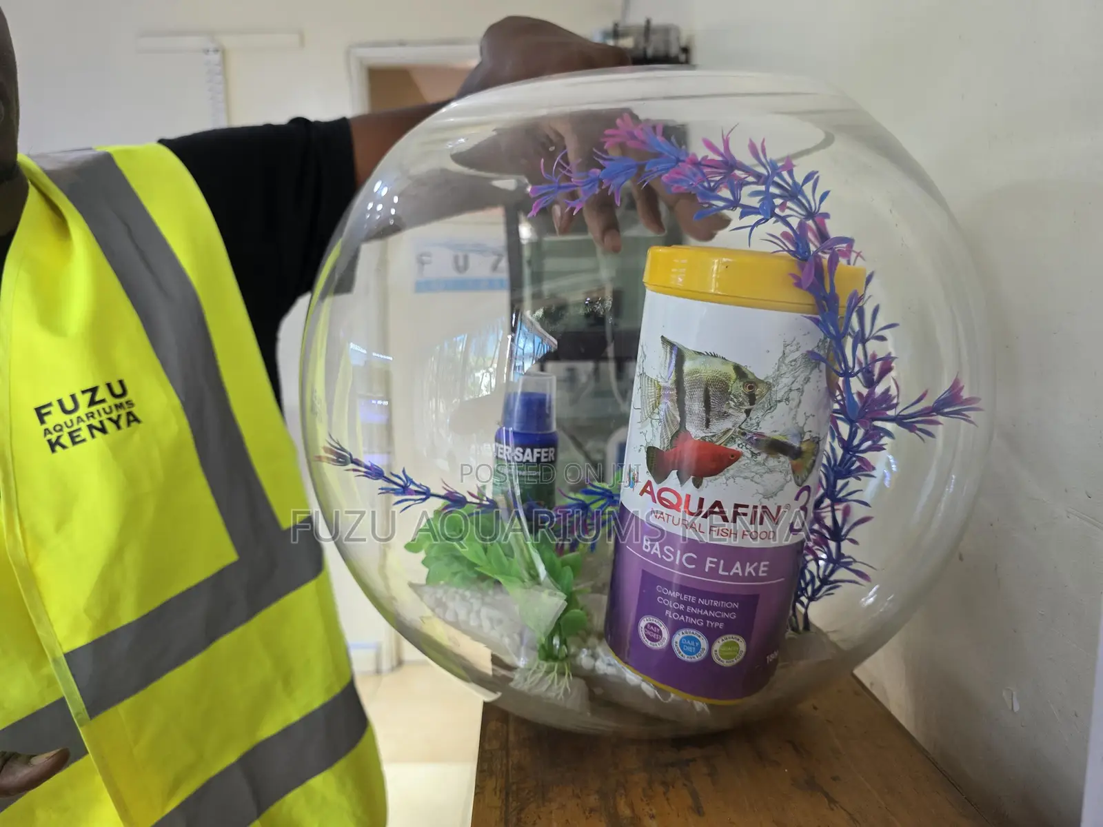Decorative Fish Bowl With Plants Fish Included