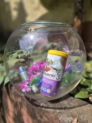 Modern 12l Fish Bowl – Perfect for Home or Office
