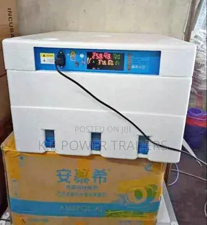 64 Egg Incubator