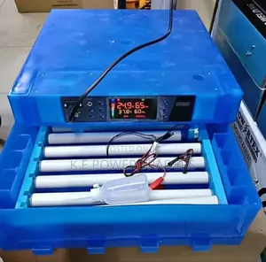 64 Egg Incubator