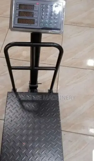 300kg Digital Scale Platform/Good Quality 300kgs Clane Scale