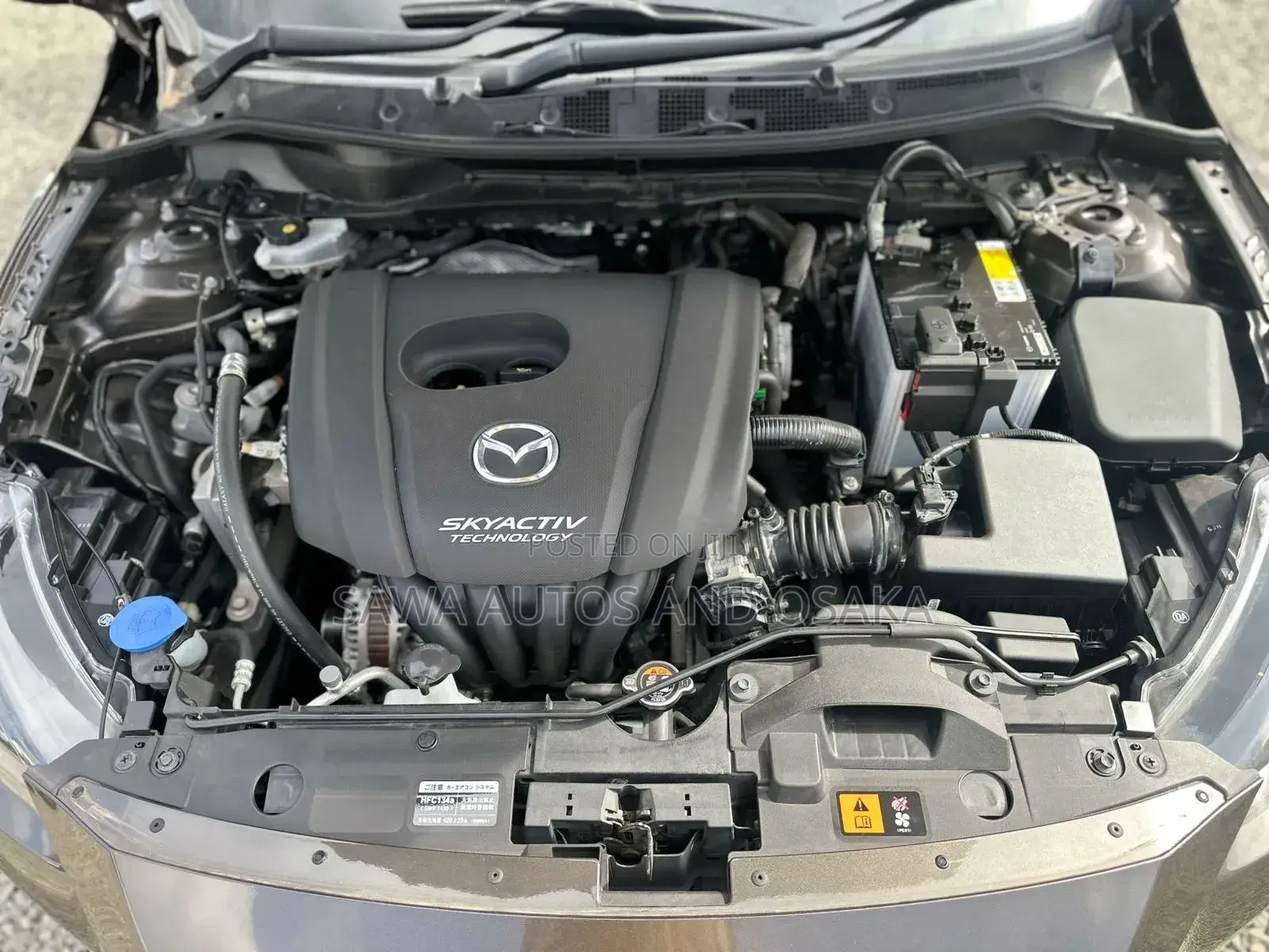 Mazda Demio 2019 Brown