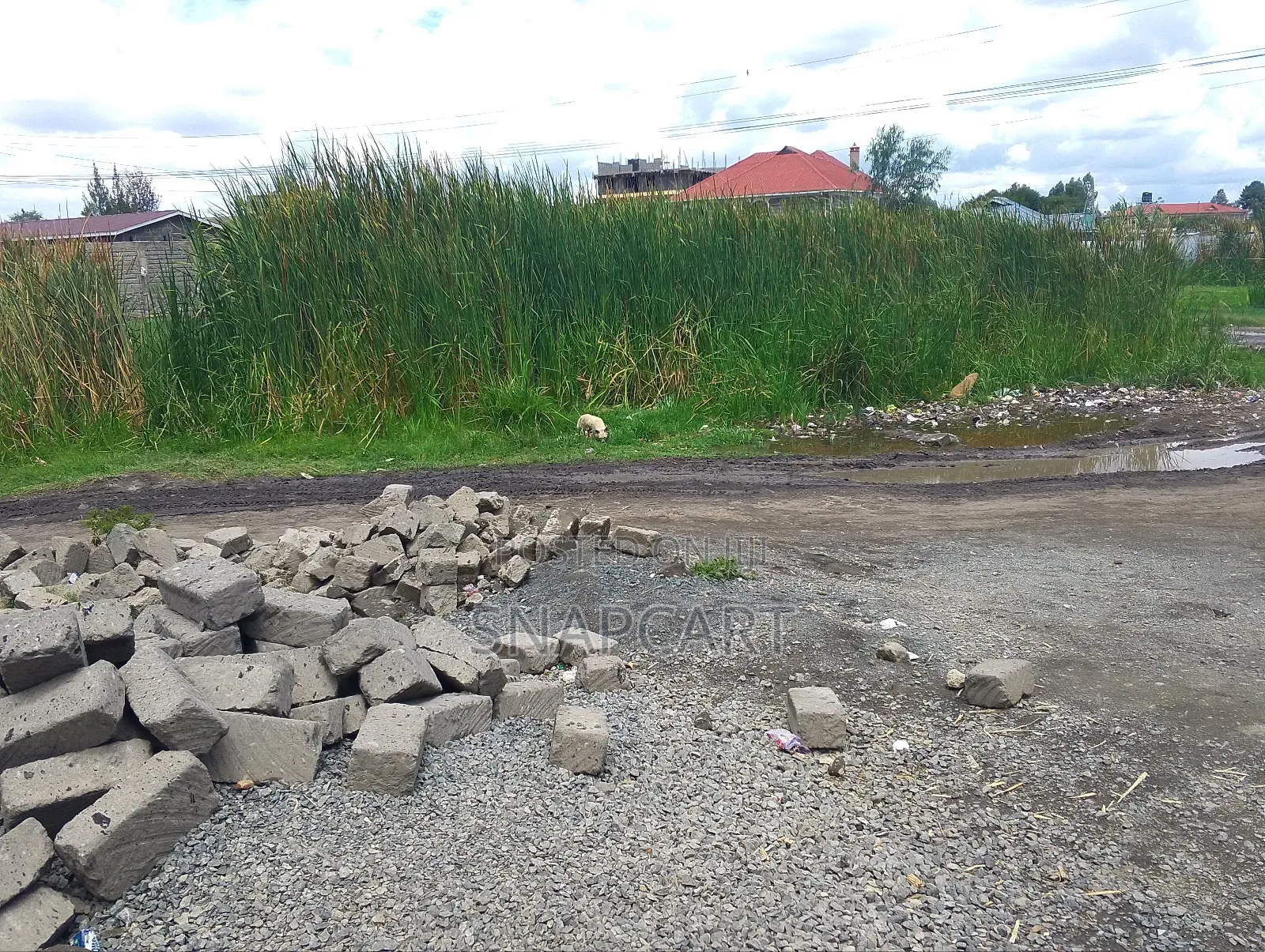 Plot for Lease in Katani 5 Years