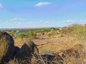 Land for Sale Good for Hotel and Campsite