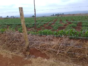 Agricultural Land for Sale