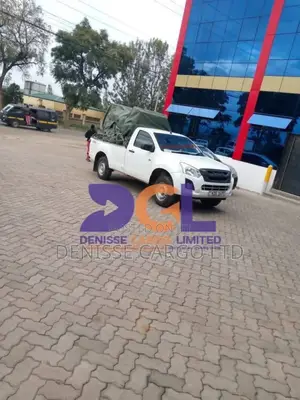 Light Cargo Transport Services.Pickup, Cargo Van and Mini-Trucks