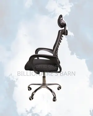 Premium Mesh Support Executive | Comfort Meets Style