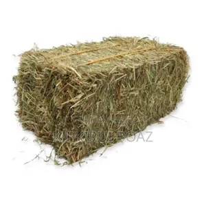 Hay for Sell