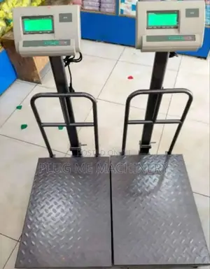 A12 Weighing Scale/ Digital Weighing Scale