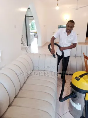 Sofa and Carpet Cleaning