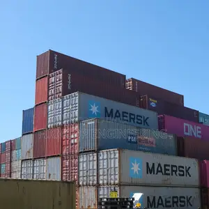 Refurbished 40ft Plain Container - Budget-Friendly