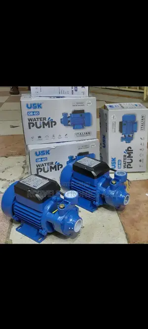 Usk 0.5 Hp Water Pump
