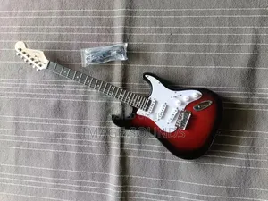 Professional 6 String Electric Guitar Lead