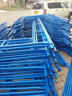 Construction Scaffolding Ladder /Scaffolding