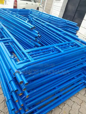 Safety Access Scaffolding Ladder