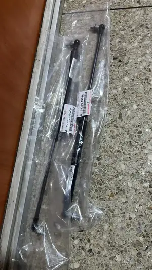 Bonnet Shocks Landcruiser 100 Series