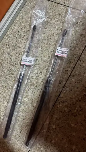 Bonnet Shocks Landcruiser