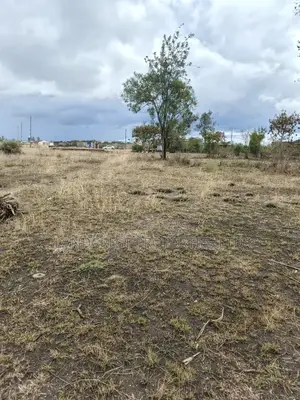 40*60 Plot for Sale in Ruiru, Murera (Ndururumo)
