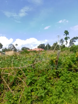 3( 50 by 100) Adjacent Kamandura