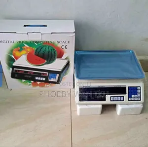 Acs30/30kg Digital Weighing Scale.