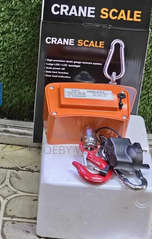Commercial Crane Scale/500kgs Digital Weighing Scale