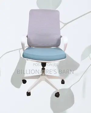 Durable Support Mesh Ergonomic Lumbar | Top Seller in Kenya