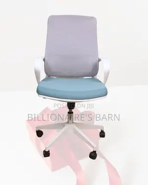 Pro Office Mesh Executive Mesh | Comfort Meets Style