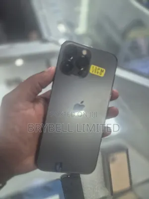 Apple iPhone 13 Pro Max 256 GB Gray