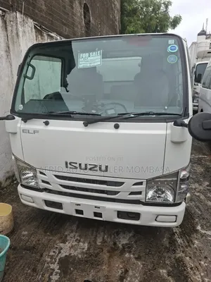 Isuzu Elf Freezer Body