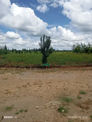 Nakuru Prime Plots