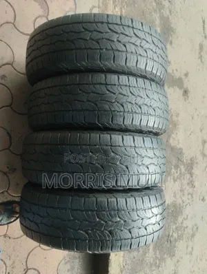 215/60r17 Dunlop