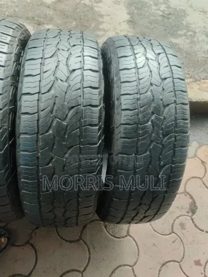 215/60r17 Dunlop
