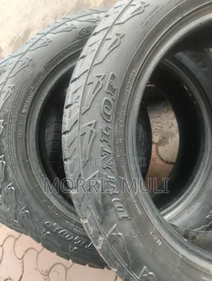 215/60r17 Dunlop