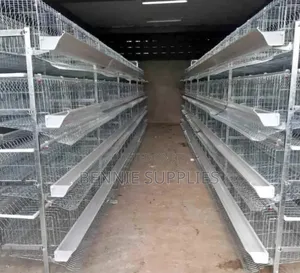 128 H Type Chicken Cages / Commercial 128 H Type Chicken Cage