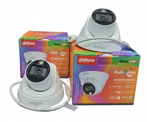 Multiple Illumination Mode Ip 2mp Dahua Audio CCTV Dome Camera