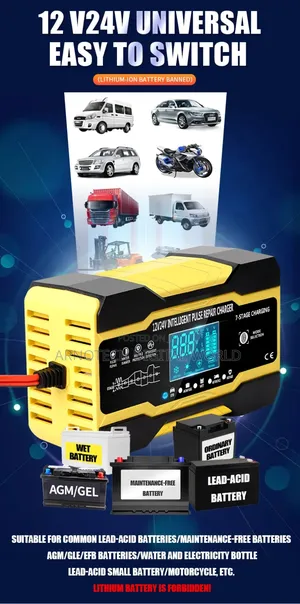 Automatic Universal Battery Repair Charger 12v/24v