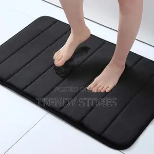 Non Slip, Absorbent Microfiber Door Mat/ Bathroom Mat