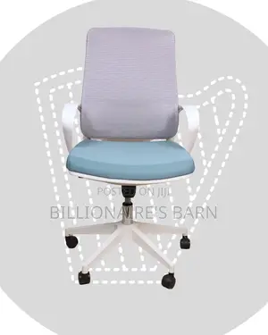 Premium Mesh Ergonomic Office Frame | Order Yours Today
