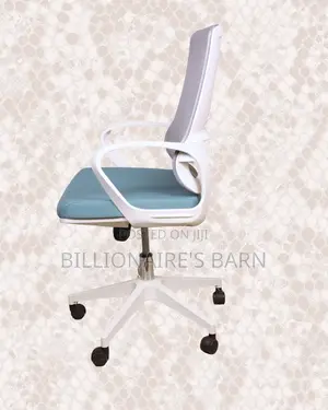 Ergonomic — Mesh Chair Seller | Nairobi Delivery Guaranteed
