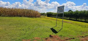 Prime Plots for Sale in Illula Centre