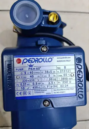 Original Pedrolo Water Pump 0.5hp/Pedrollo Booster Pump 0.5hp Electric
