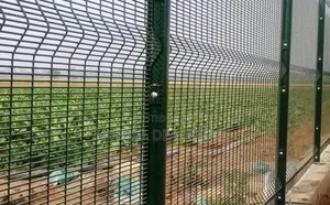 Homestead Anticlimb Fence