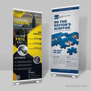 Budget Narrow Rollup Banner