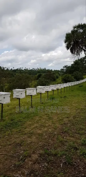 Shimbahills 31 Acre Farm on Sale