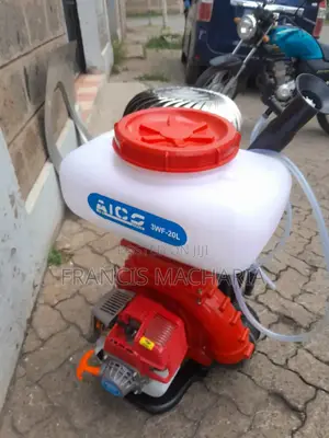20l Motorised Mist Blower