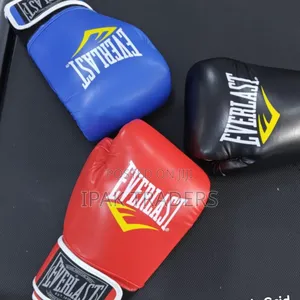 Everlast Boxing Gloves Different Sizes