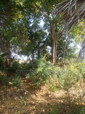 1/2 Acre Plot on Sale in Kinondo Beach Side Zone
