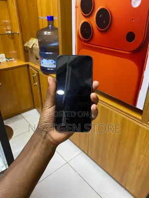Apple iPhone 15 Pro Max 256 GB Gray