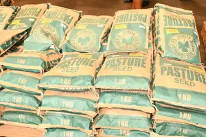 Boma Rhodes Grass (Pasture Seed)